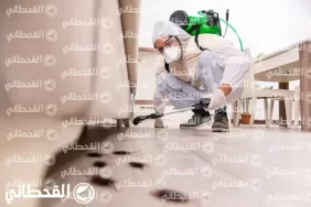 شركة رش مبيدات بالرياض