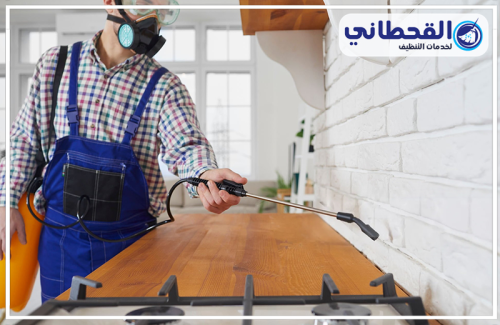 رش حشرات بالرياض تقدم شركة مكافحة حشرات بالرياض خدمات فعّالة للقضاء على جميع أنواع الحشرات بشكل آمن وسريع.