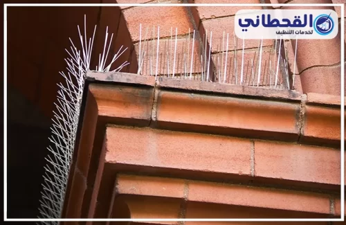 أفضل شركة تركيب طارد للحمام بالرياض أفضل شركة تركيب طارد للحمام بالرياض