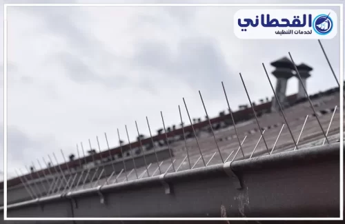شركة مكافحة الحمام بالرياض 24ساعة شركة مكافحة الحمام بالرياض 24ساعة