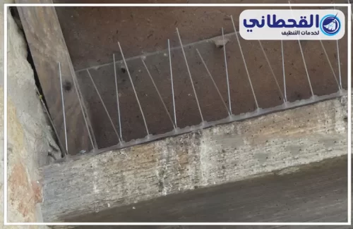 تركيب جل طارد الحمام بالرياض تركيب جل طارد الحمام بالرياض