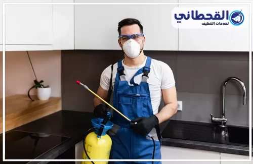 شركة رش بالرياض خبراء مكافحة الحشرات في الرياض يستخدمون أحدث الأساليب للتخلص من الحشرات بأمان ودون تأثير على الصحة.