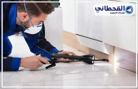 شركة مكافحة حشرات بالرياض