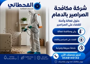 شركة مكافحة الصراصير بالدمام