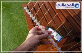 شركة مكافحة الحمام بالدمام