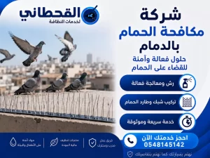 شركة مكافحة الحمام بالدمام