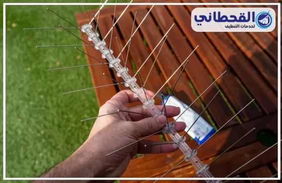 شركة مكافحة الحمام بالدمام