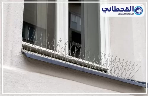 ادوات شركة مكافحة الحمام بالدمام ادوات شركة مكافحة الحمام بالدمام