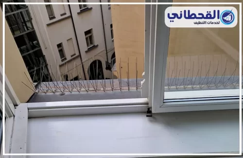 شركه طارد حمام بالدمام شركه طارد حمام بالدمام