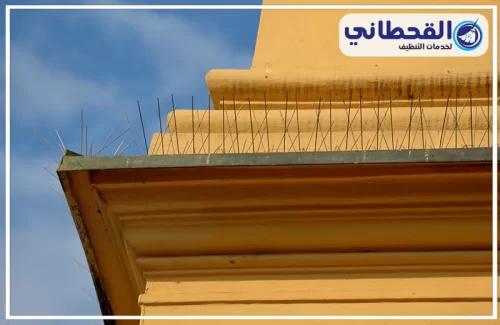 مكافحة ذبابة الحمام بالدمام مكافحة ذبابة الحمام بالدمام