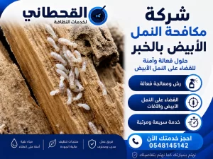 شركة مكافحة النمل الابيض بالخبر