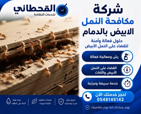 شركة مكافحة النمل الابيض بالدمام