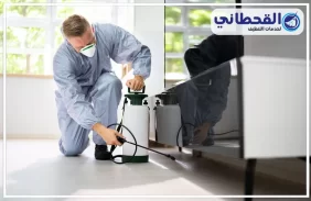 شركة مكافحة حشرات بالدمام
