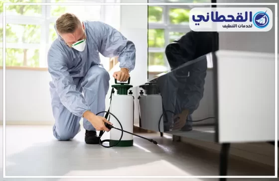 شركة مكافحة حشرات بالدمام