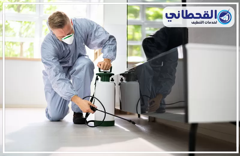 شركة مكافحة حشرات بالدمام