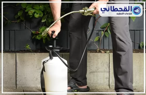 شركة رش مبيدات بالخبر شركة رش مبيدات بالخبر