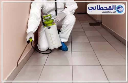 شركات مكافحة الحشرات في بالخبر شركات مكافحة الحشرات في بالخبر