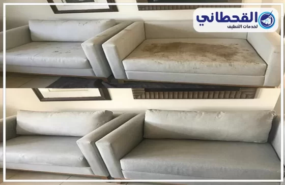 شركة تنظيف بصفوي